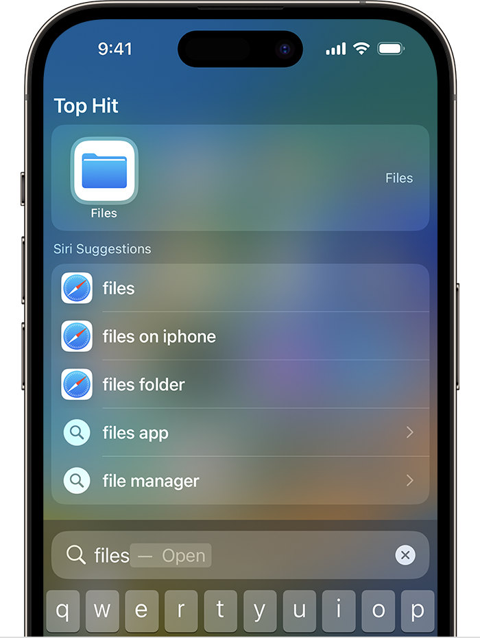 How to Play Local Files on iPhone